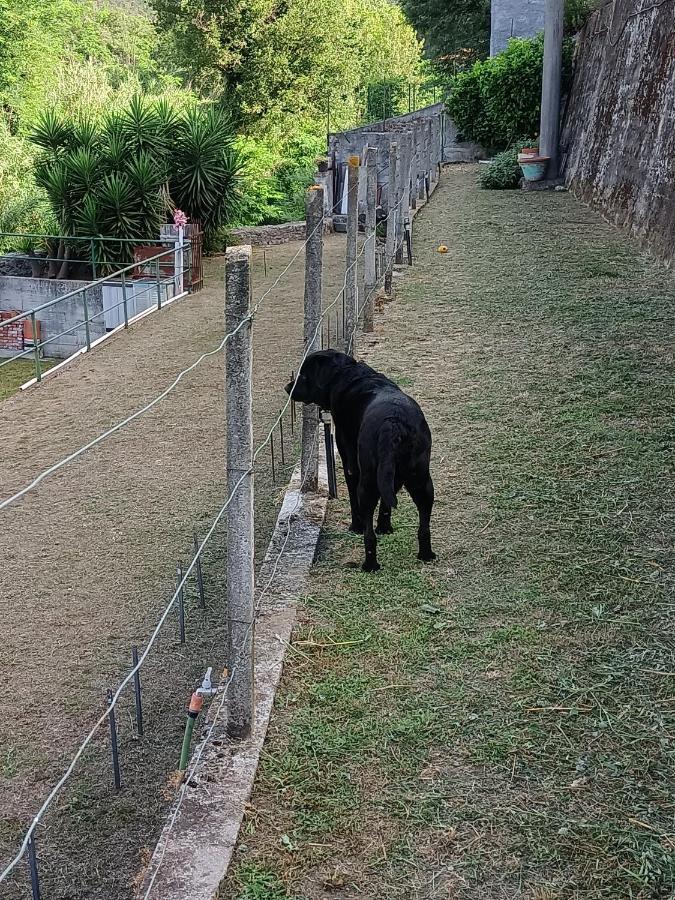 Da Ange E Bru Villa Sestri Levante Eksteriør bilde