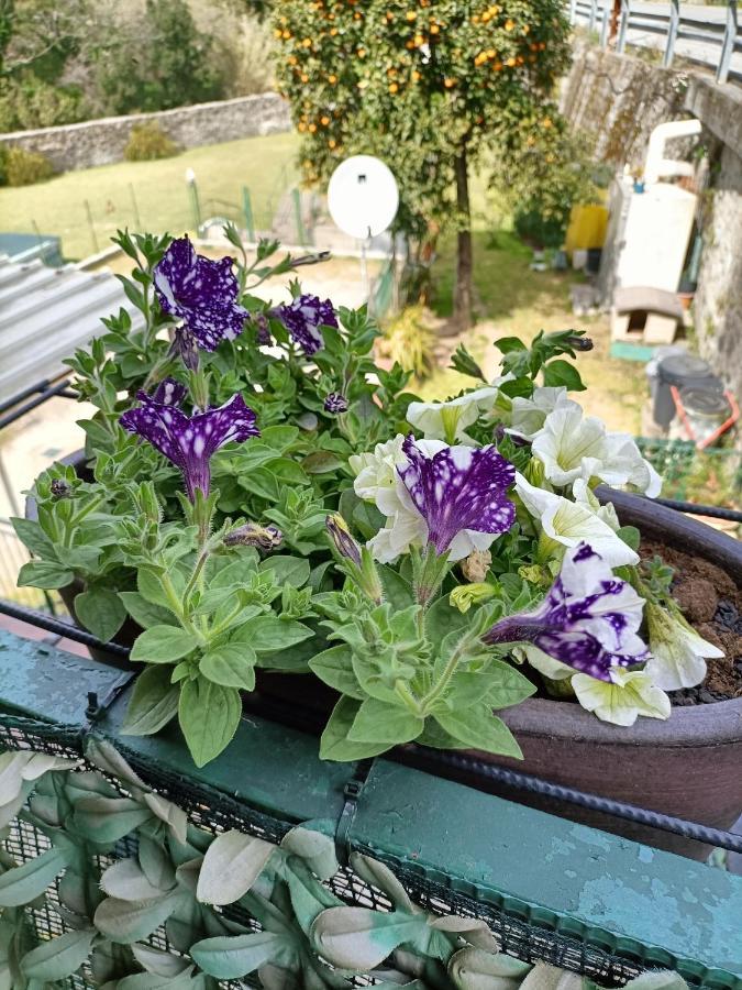 Da Ange E Bru Villa Sestri Levante Eksteriør bilde