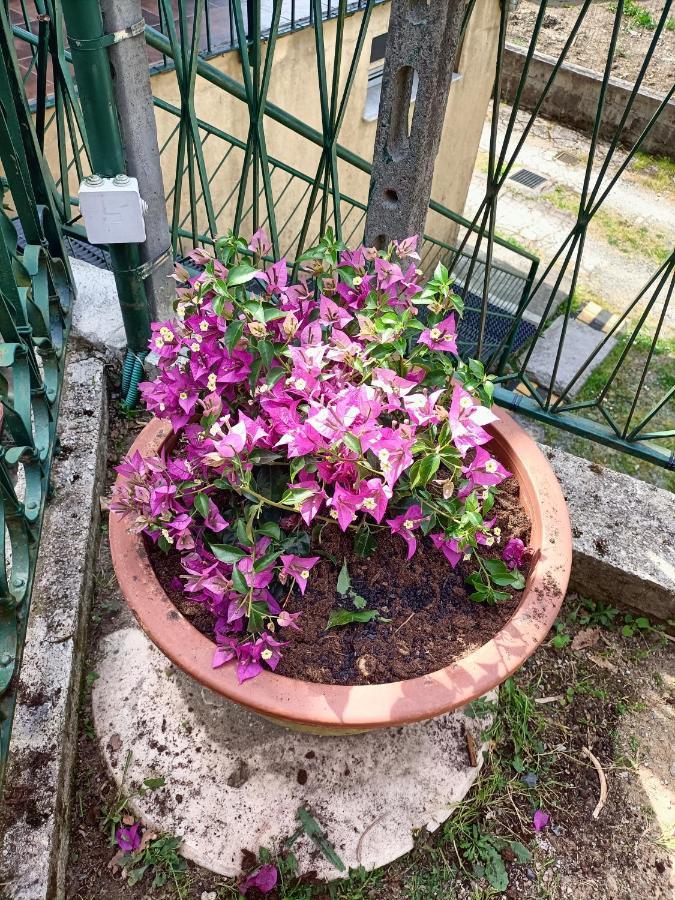 Da Ange E Bru Villa Sestri Levante Eksteriør bilde